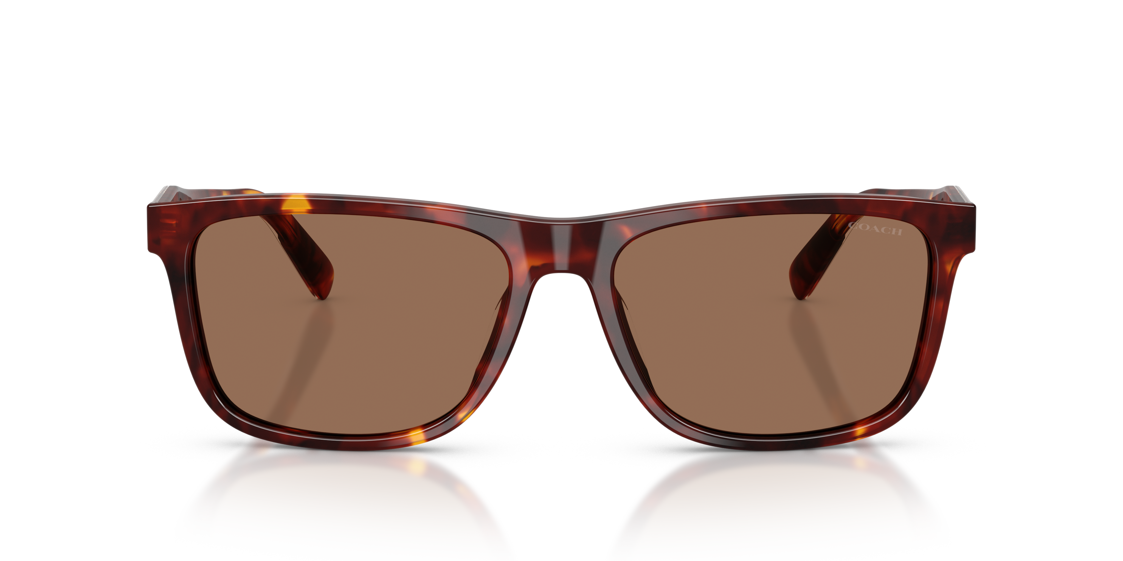 Coach HC8454U 593813 Cdp55 